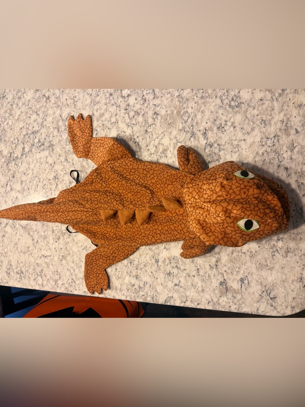 Dog Dino Costume